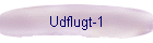 Udflugt-1